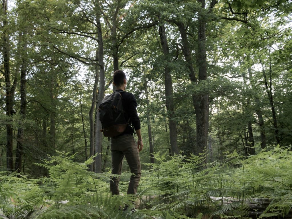 man in black jacket and black pants walking on forest during daytime